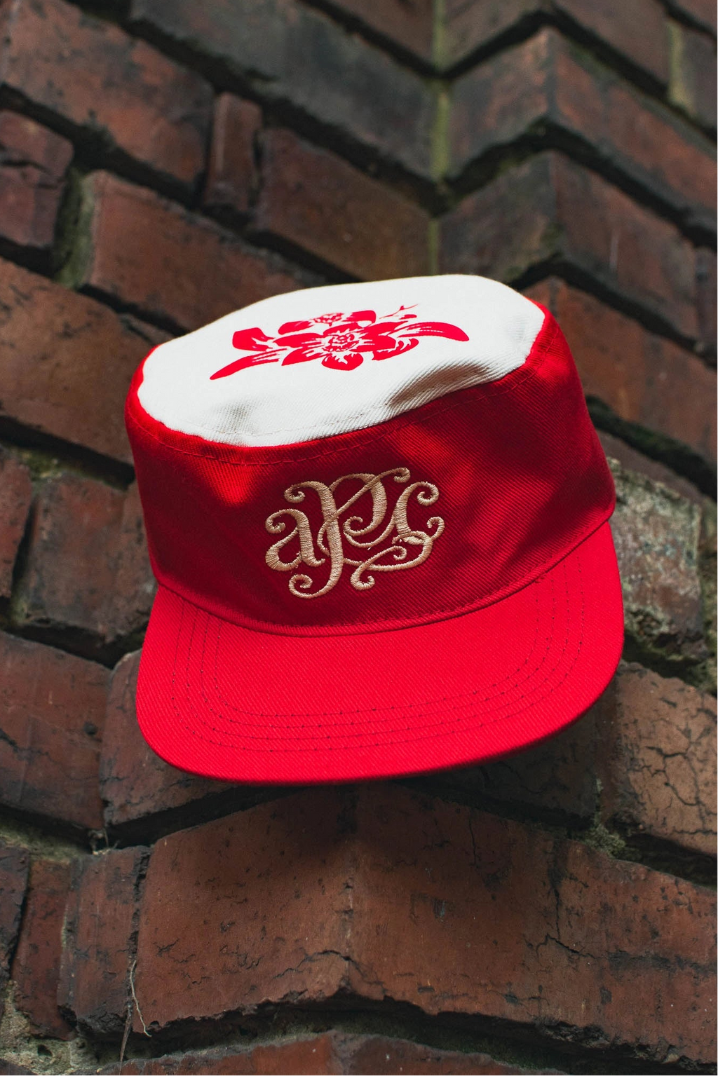 Gorra apc apocalyptic