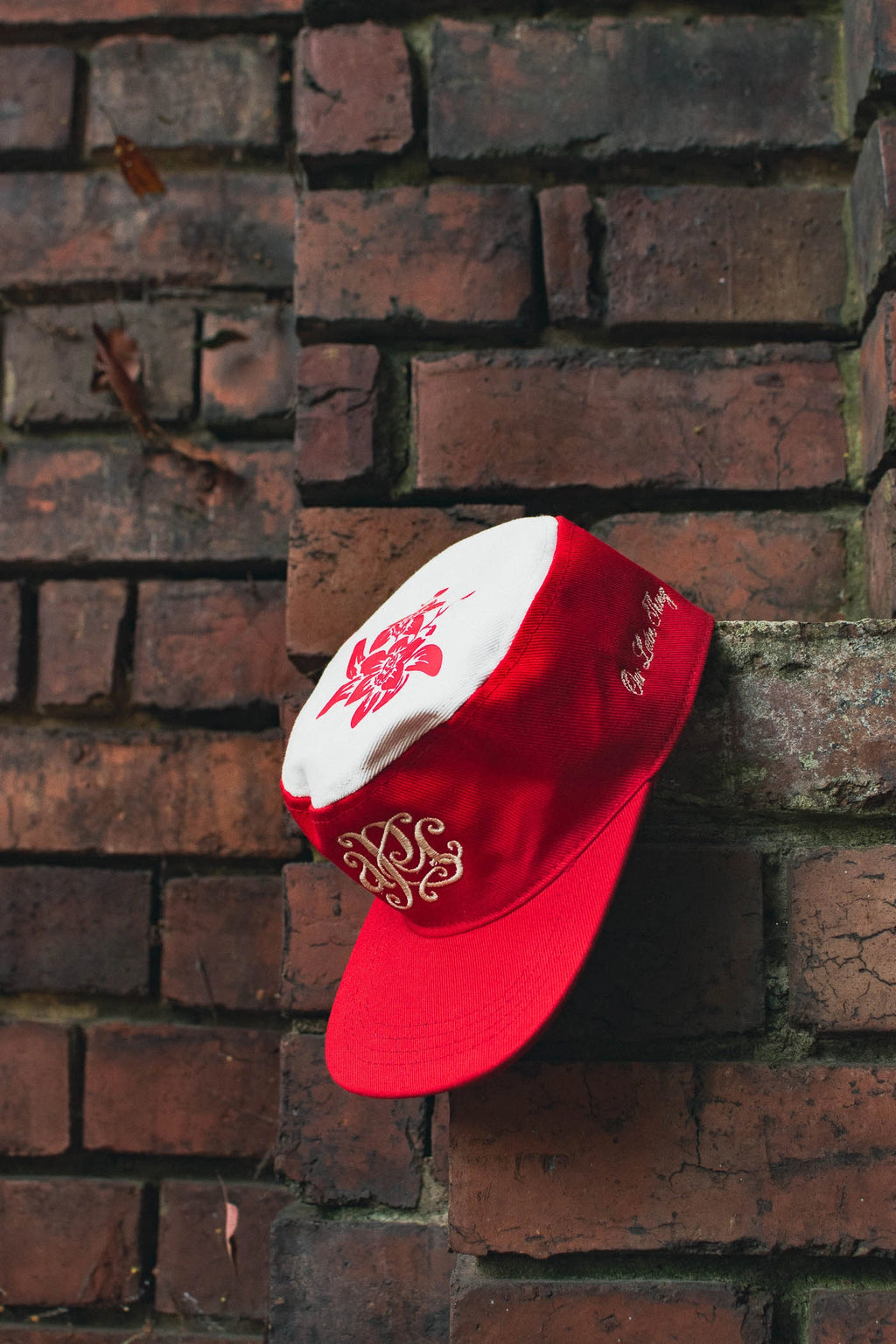 Gorra apc apocalyptic